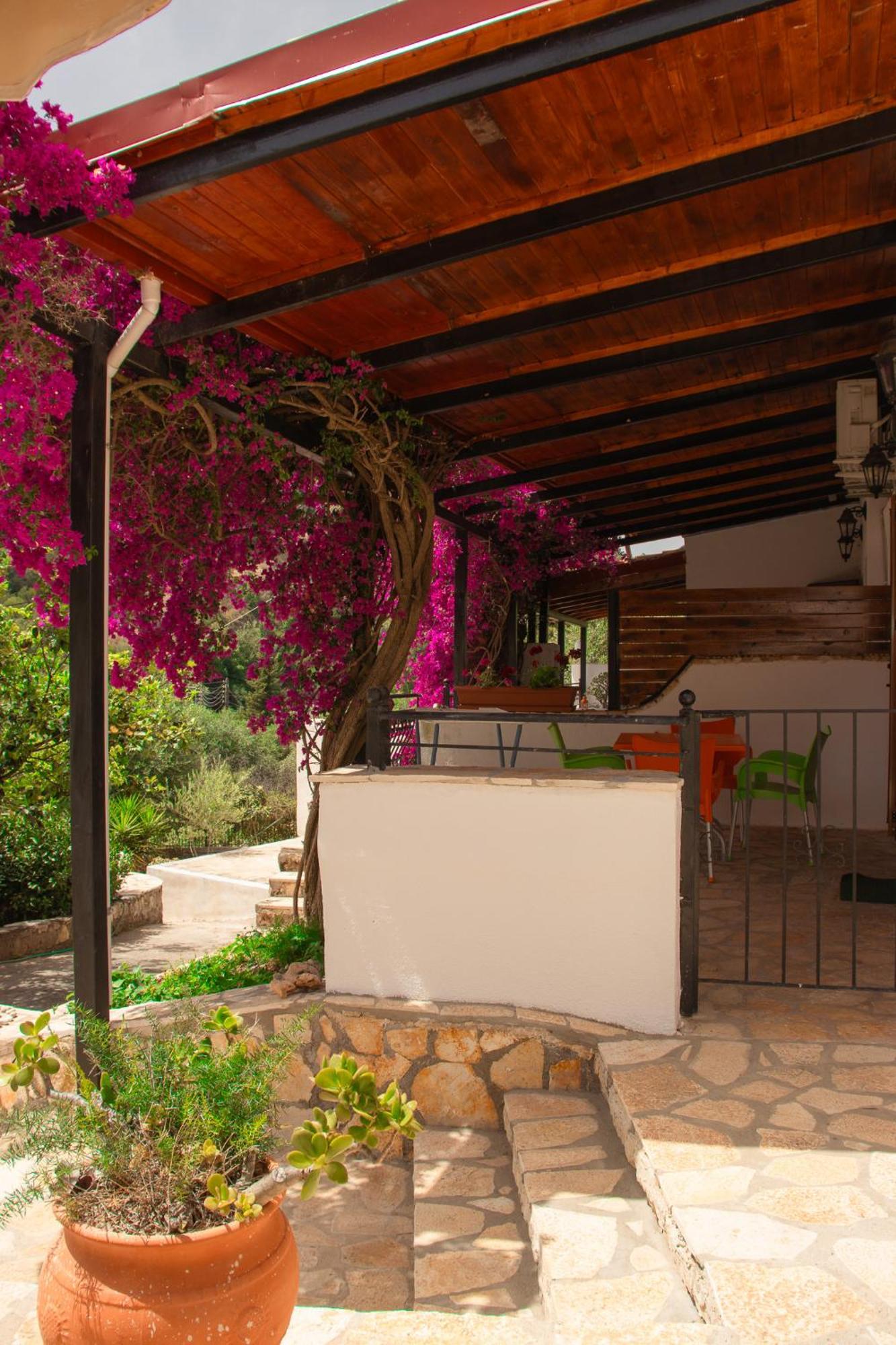 Villa Sissy Studios & Apartments Sívota Exteriér fotografie